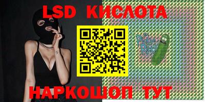Альфа ПВП Новозыбков