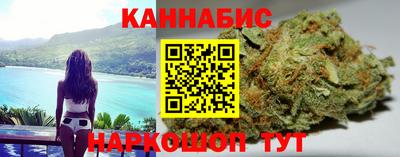 Альфа ПВП Новозыбков
