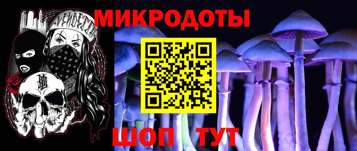 Галлюциногенные грибы прущие грибы Тольятти